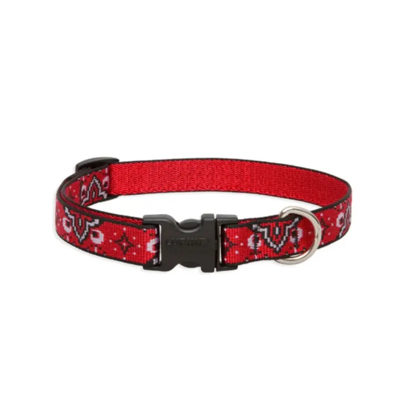 LUPINE Wild West Dog Collar, 3/4"x13-22"