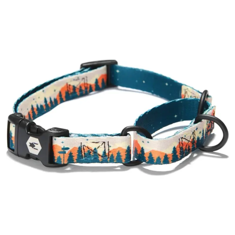 COASTAL DROP Wolfgang Martingale Collar for Dogs, Overland, M, 1"x14"-18"