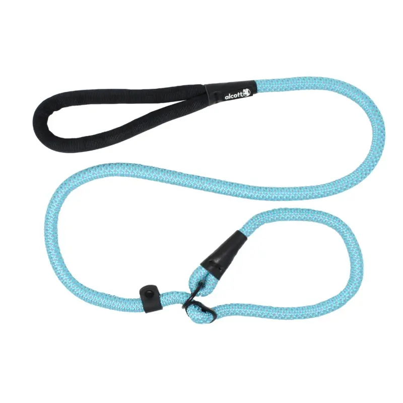 Alcott Slip Leash for Dogs, Blue, Medium, 5'