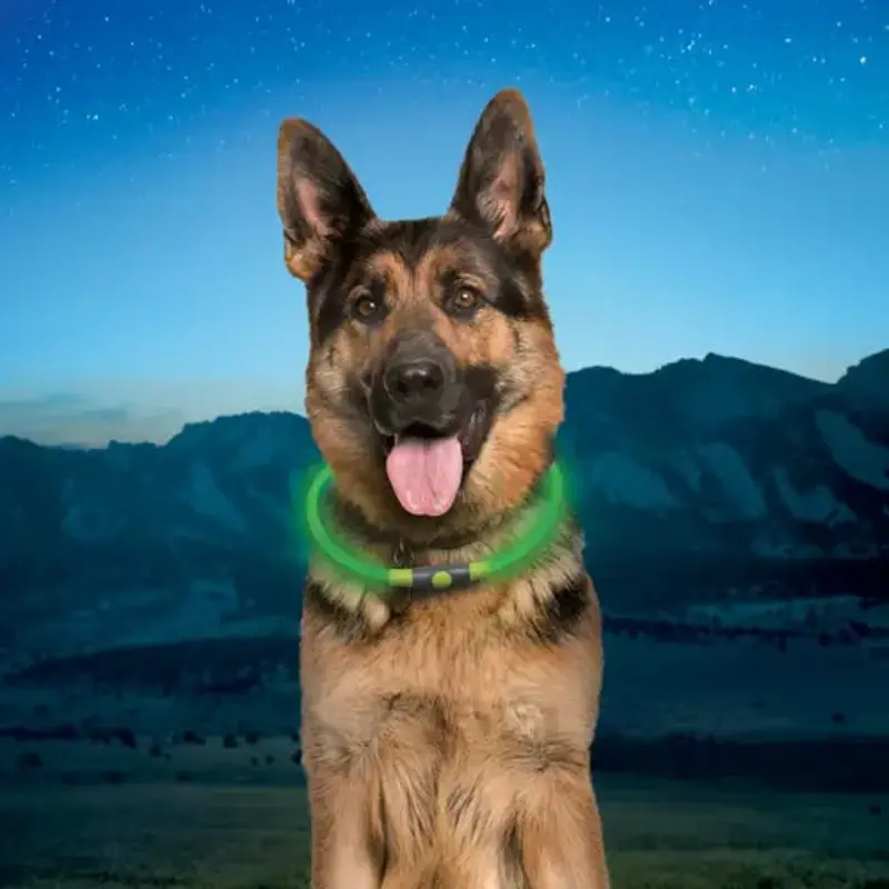 Nite Ize NiteHowl LED Light Dog Safety Collar - Green