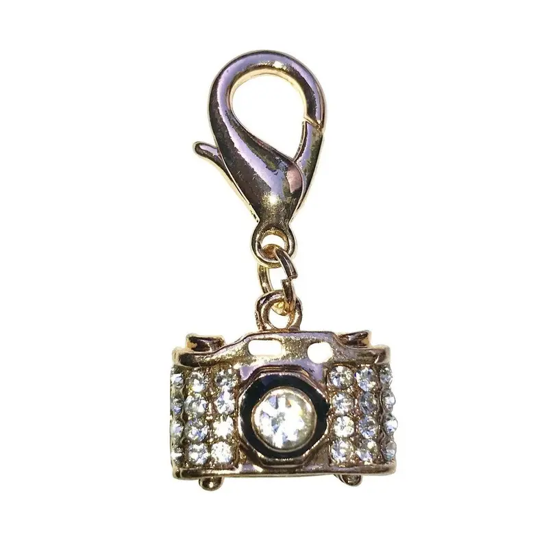 Camera Dog Collar Charm