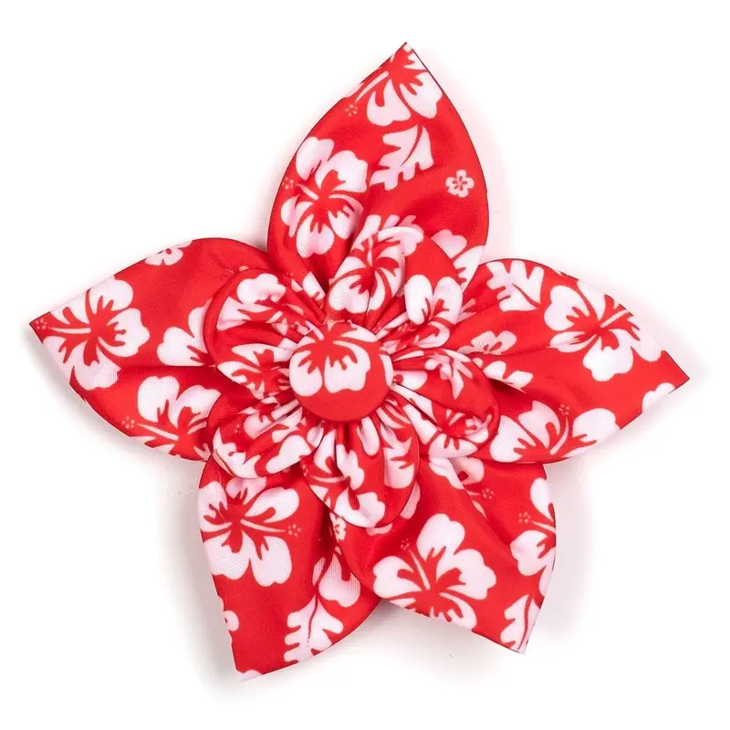 Aloha Dog Collar Flower Coral