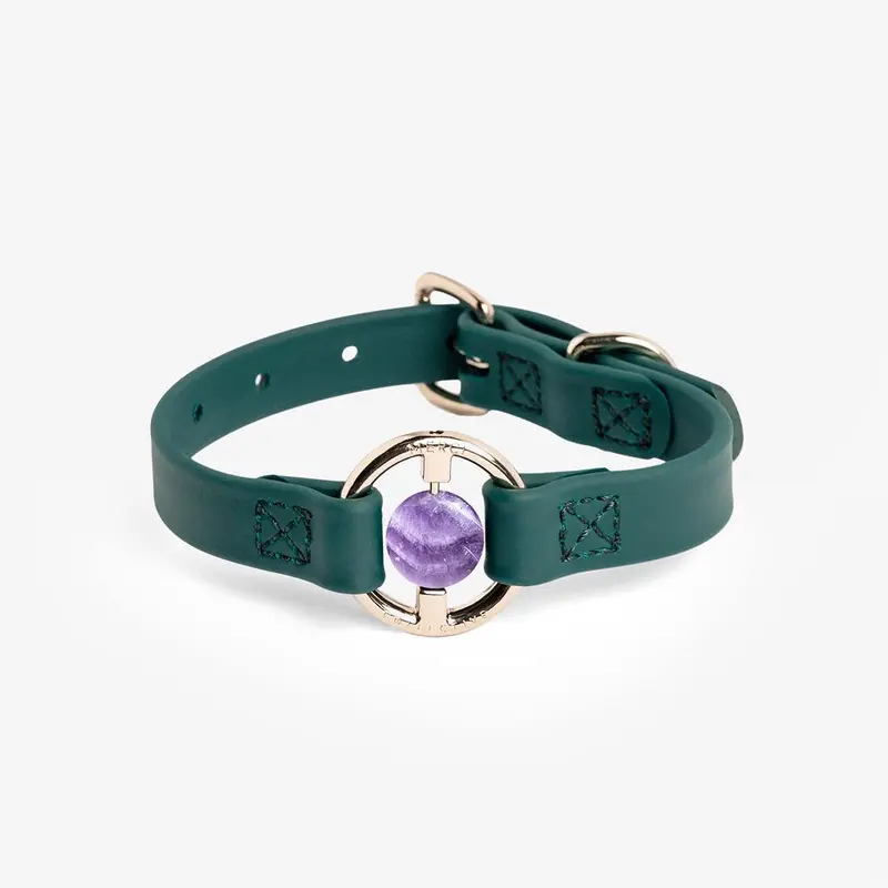 All Eyes On Me Dog Collar Jungle Green/Chevron Amethyst