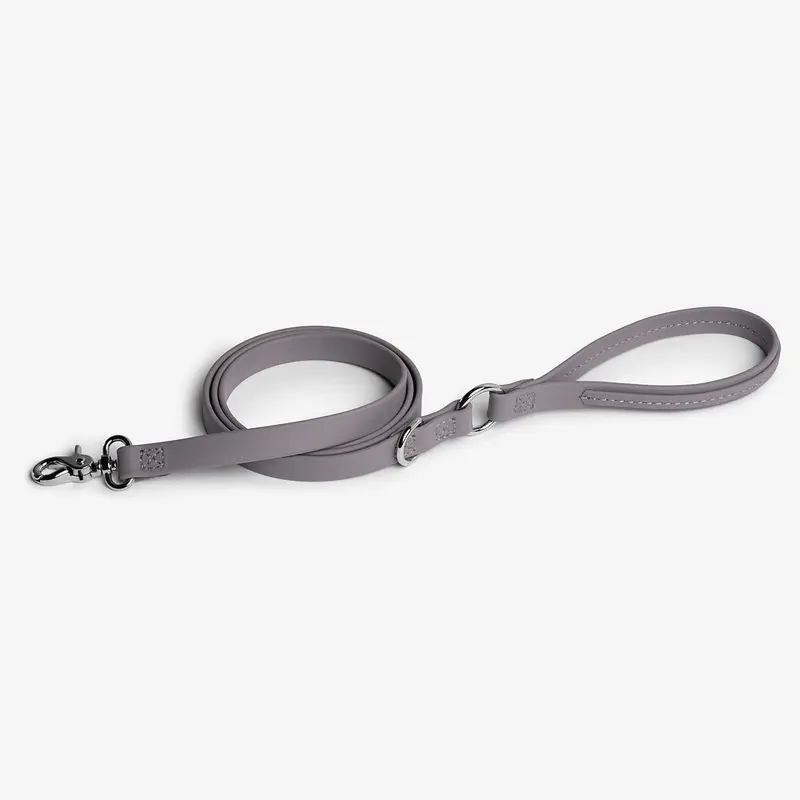 Jump Around Dog Leash Sea Lavender