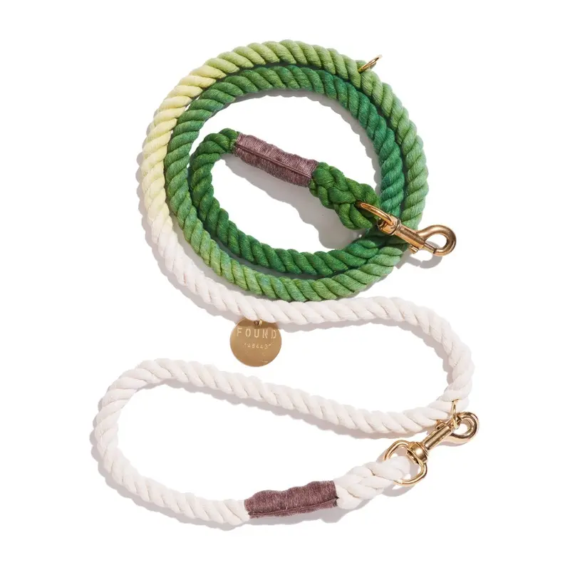 Adjustable Bolt Snaps Rope Dog Leash Fern Green Ombre