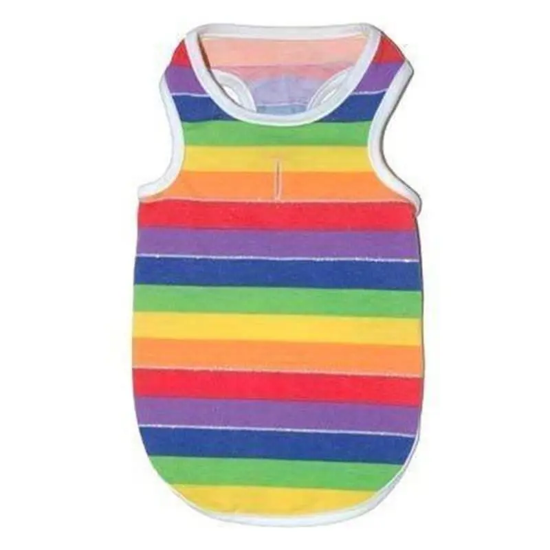 Rainbow Dog Tank