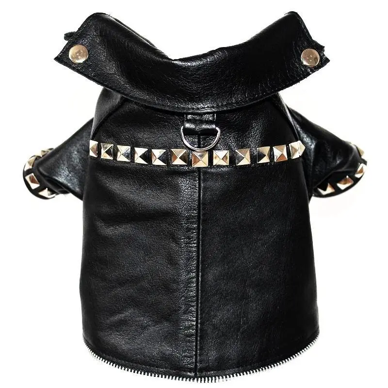 Megan Trainor Lips Are Movin Studded Leather Dog Coat