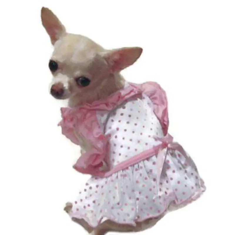 Bitty Baby Ruffle Dog Dress