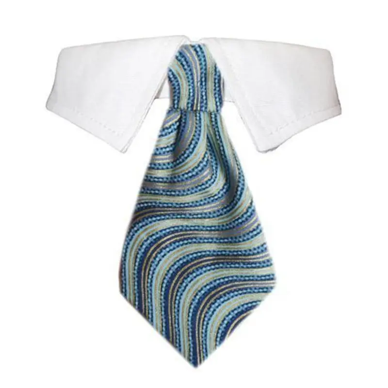 Alexander Dog Shirt Collar