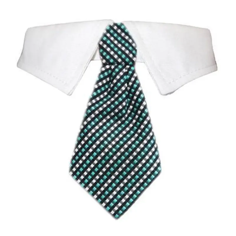 Benjamin Dog Shirt Collar