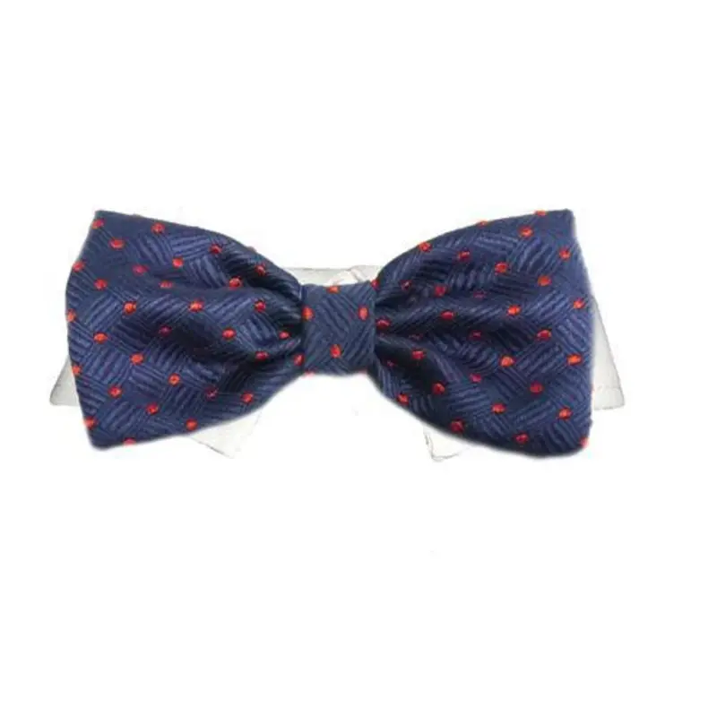 Andrew Dog Bow Tie Collar
