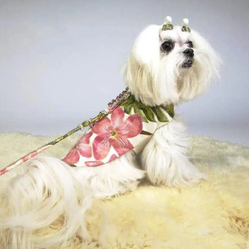 Sweet Pea Luxe Dog Coat By Chien Coature Teacup