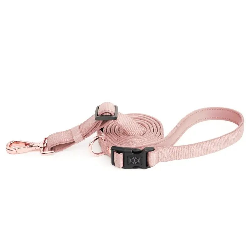 City Dog Leash Blush