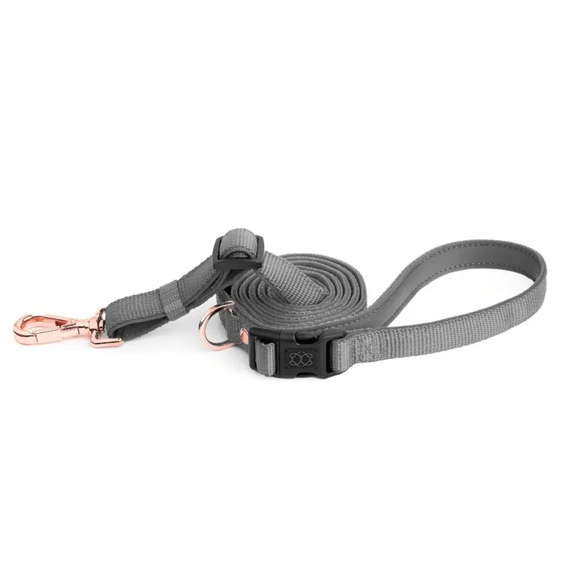 City Dog Leash Steel