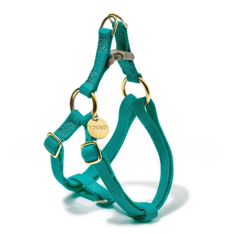 Flat Webbing Cotton Dog Harness Teal