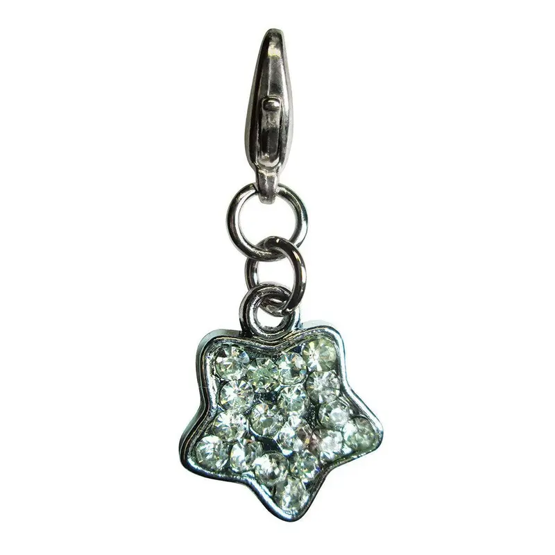 Sparkling Clear Rhinestone Star Dog Collar Charm