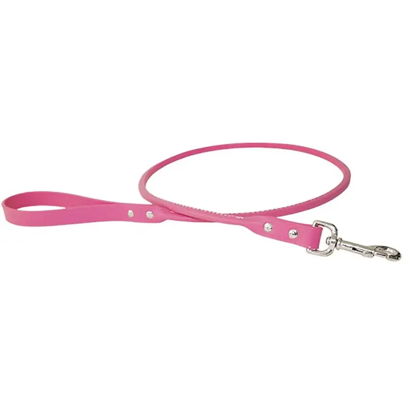 Rolled Leather Dog Leash