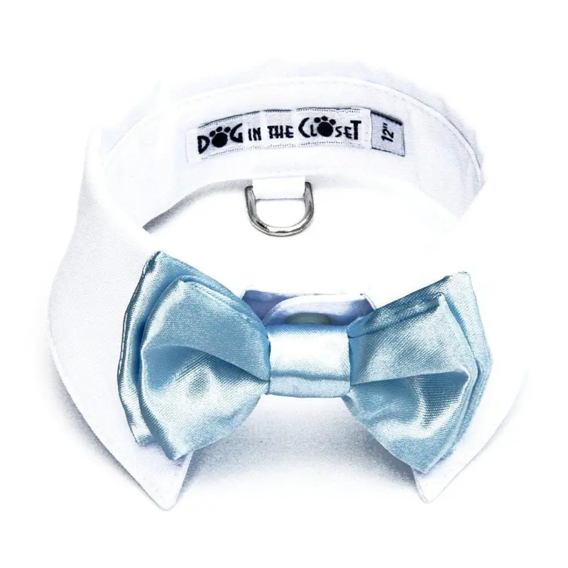 White Shirt Collar With Baby Blue Dog Bow Tie