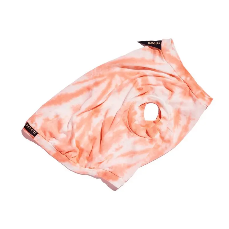 Studio Dog Tee Peach Large