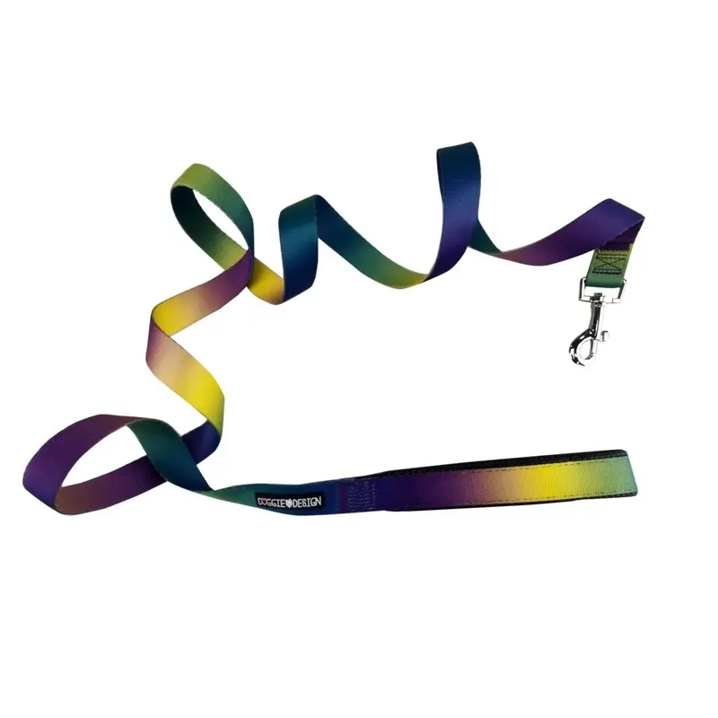 American River Ombre Dog Leash Cosmic Splash