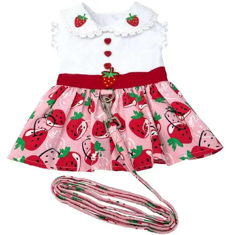 Strawberry Picnic Dog Dress With Matching Leash