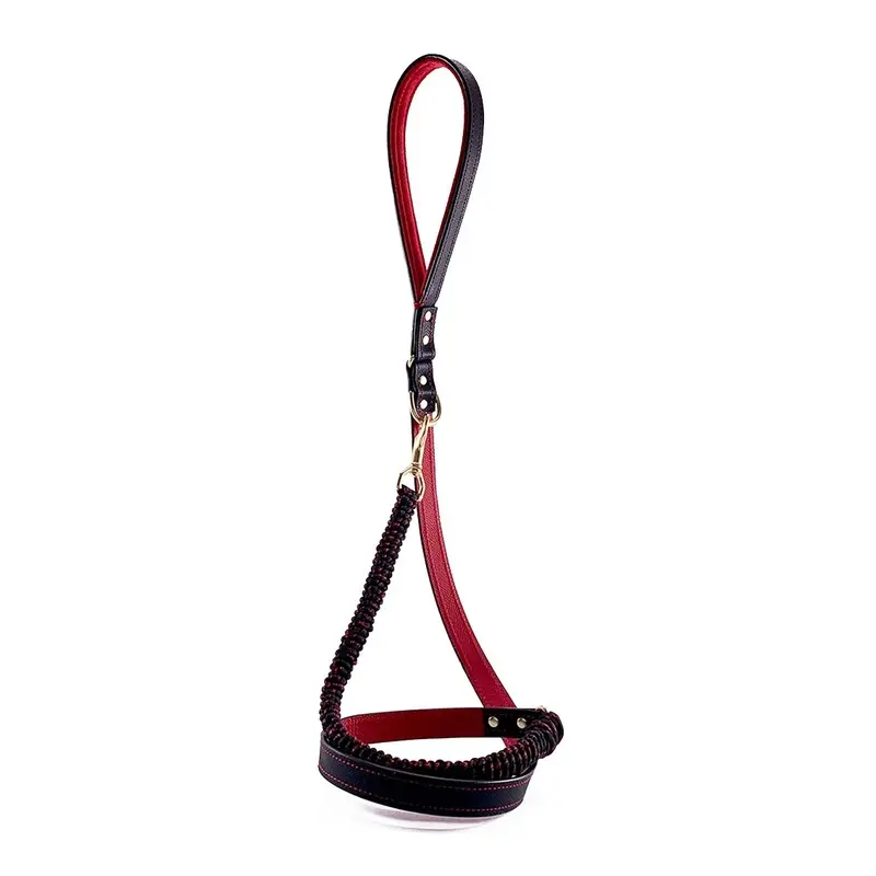 Lambert Classic Combo Leather And Macrame Dog Leash