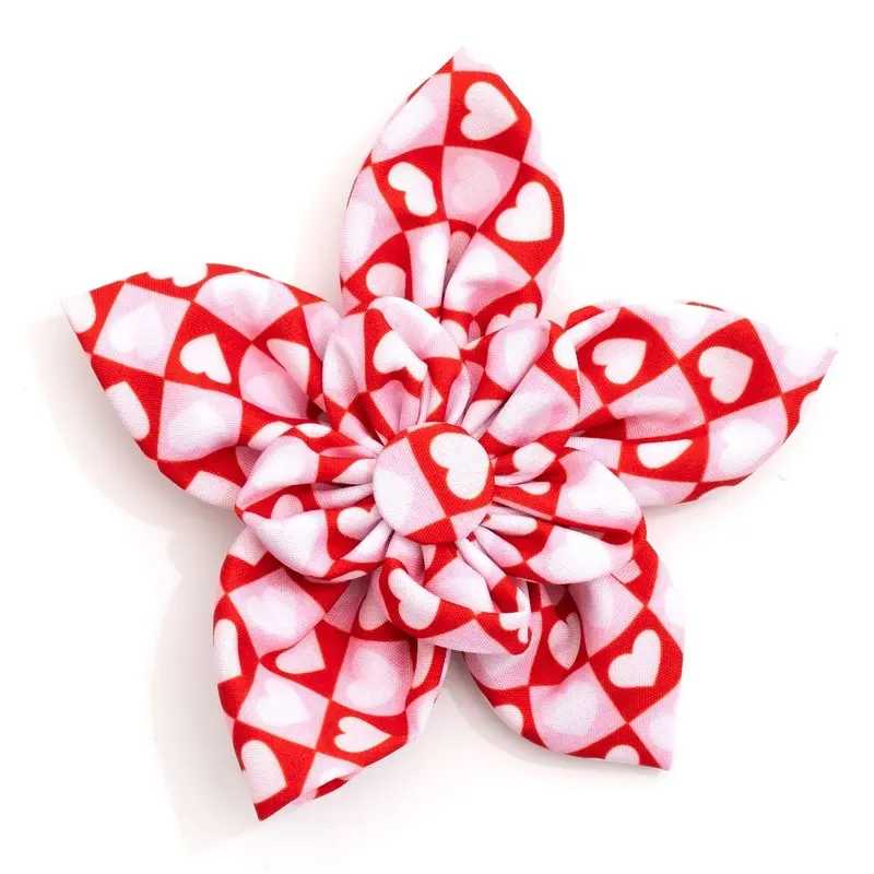 Colorblock Hearts Dog Collar Flower