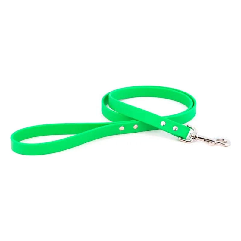 Sparky's Choice Dog Leash Green