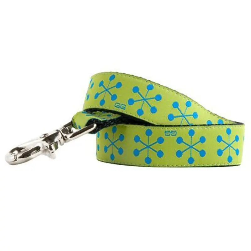 Jackson Green Dog Leash 1" x 5'