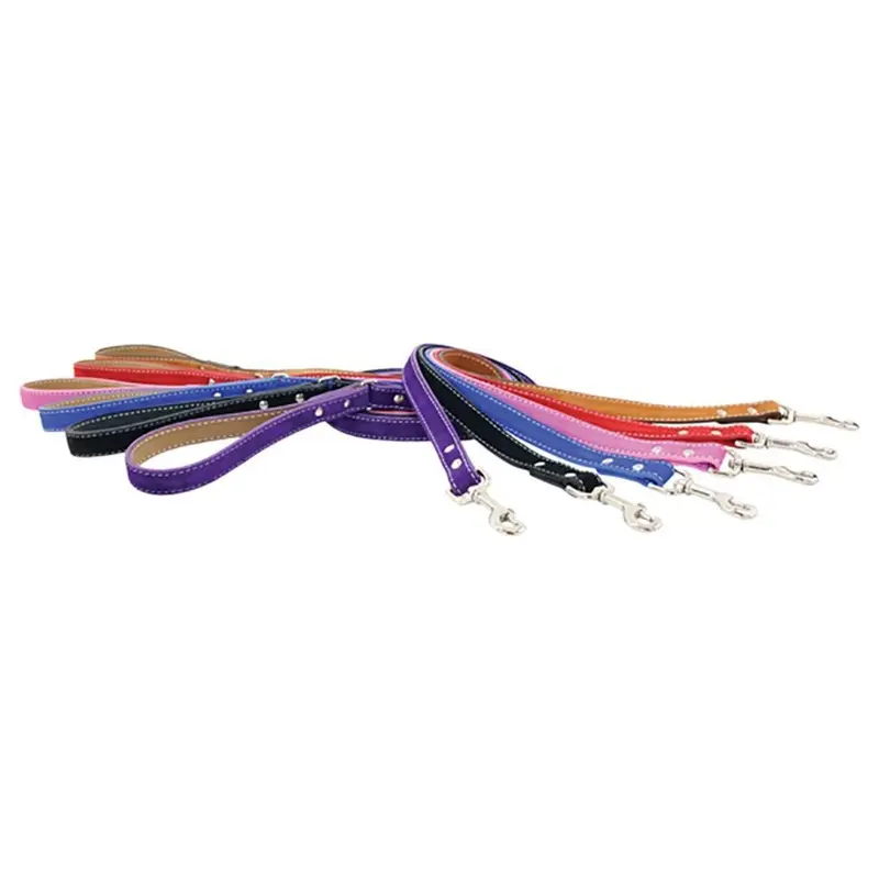Saratoga Suede Dog Leash