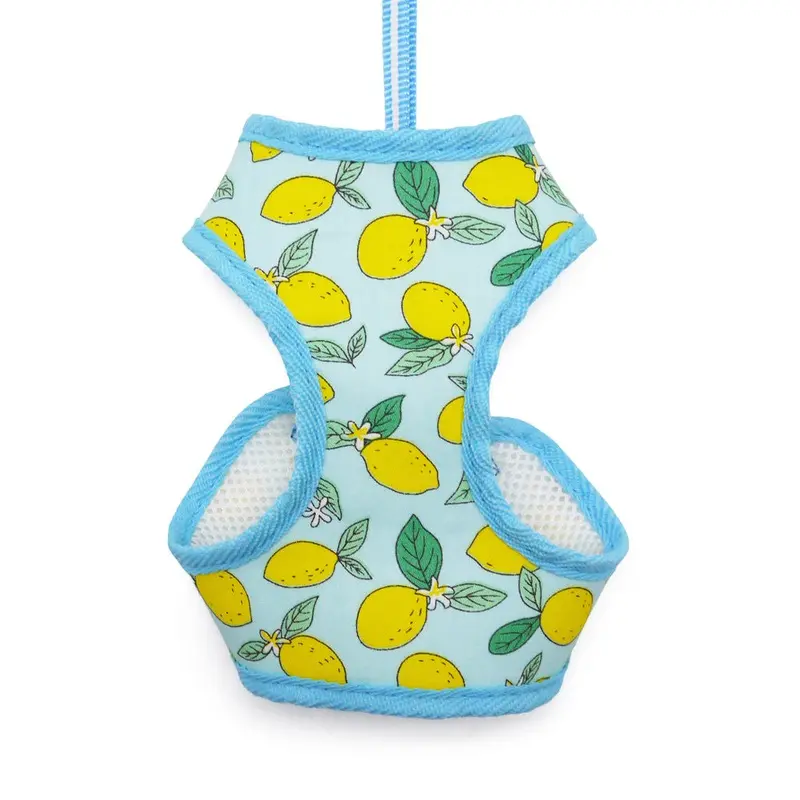 EasyGO Lemon Step-In Dog Harness