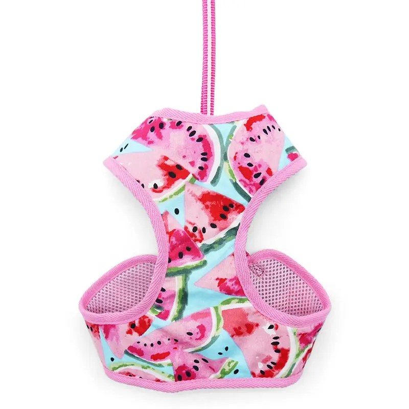 EasyGO Watermelon Step-In Dog Harness