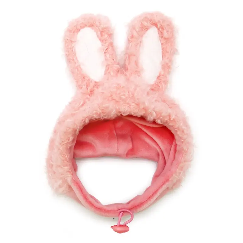 Bunny Dog Hat