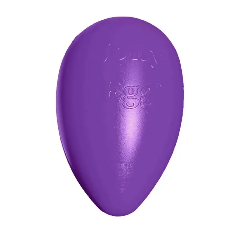 Jolly Pet Egg Hard Plastic Dog Toy Purple LG 12in