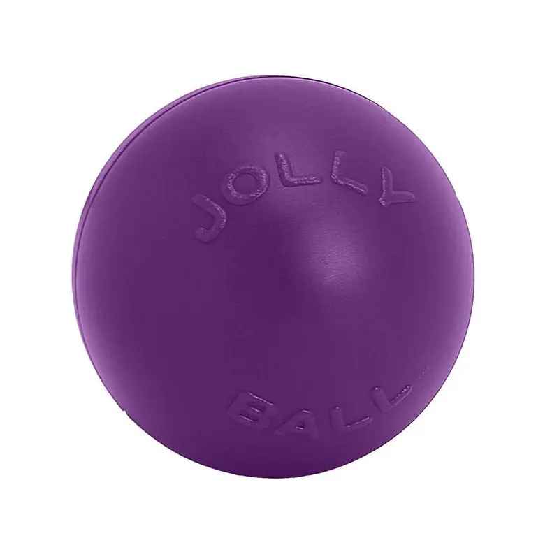 Jolly Pet Push-n-Play Plastic Dog Toy Purple LG 10in