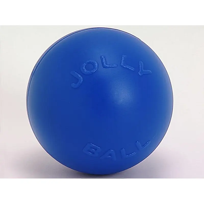 Jolly Pet Push-n-Play Plastic Dog Toy Blue LG 10in