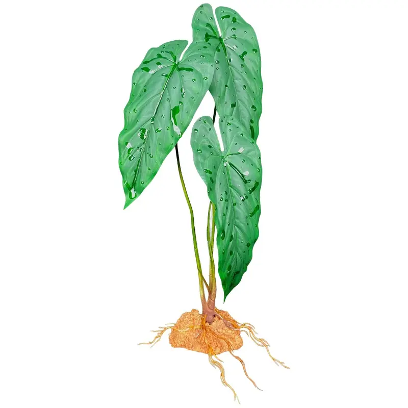 Komodo Standing Plant Emerald Vine 18in