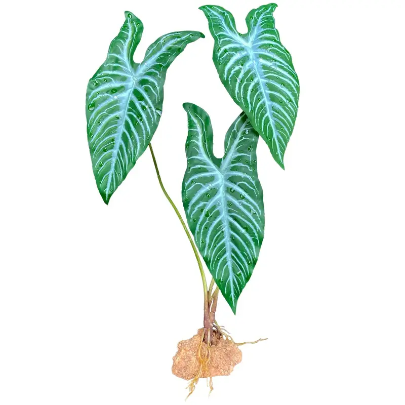 Komodo Standing Plant White Vein 18in