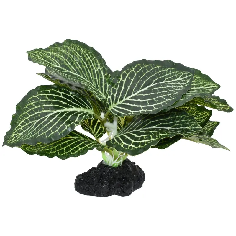 Komodo Standing Vein Plant 4in