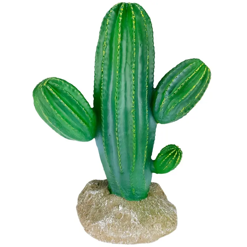 Komodo Cactus Plant Saguaro 9.5in
