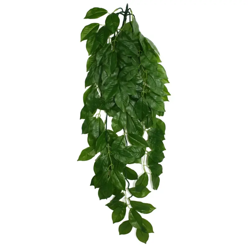 Komodo Green Leaf Hanging Plant LG 26in