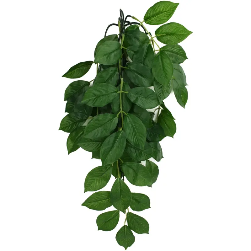 Komodo Green Leaf Hanging Plant SM 16in