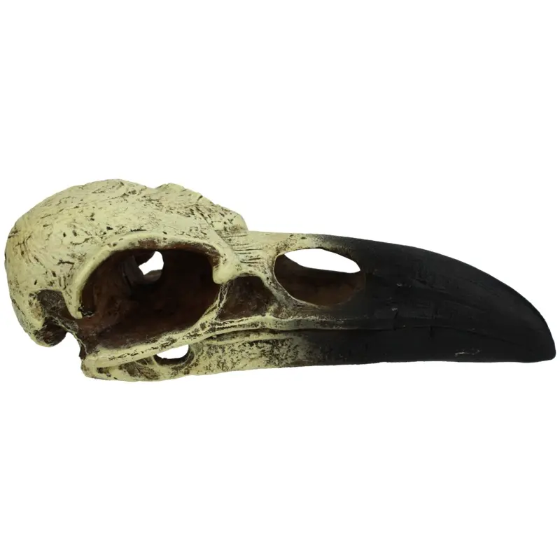 Komodo Raven Skull Hideout MD 6in