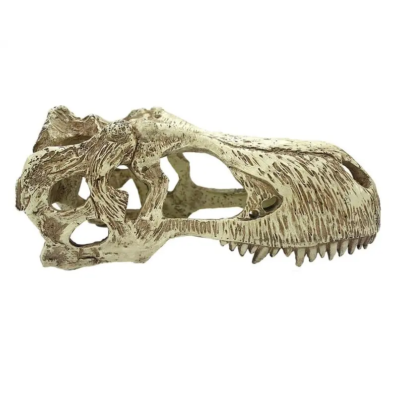 Komodo T-Rex Skull Reptile Hideout Tan XL