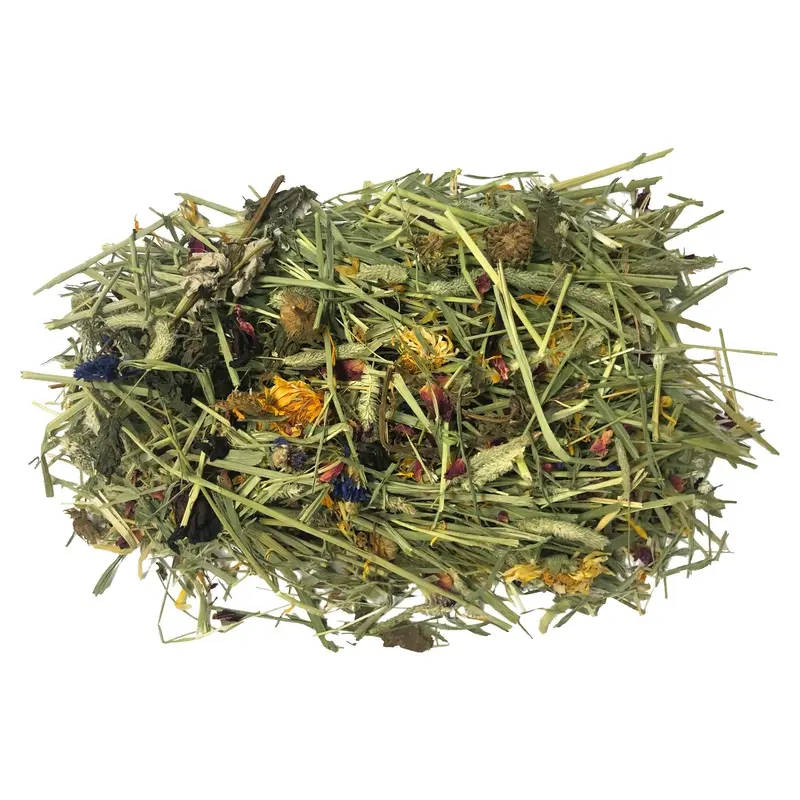 Komodo Tortoise Hay w/Wildflowers 24oz