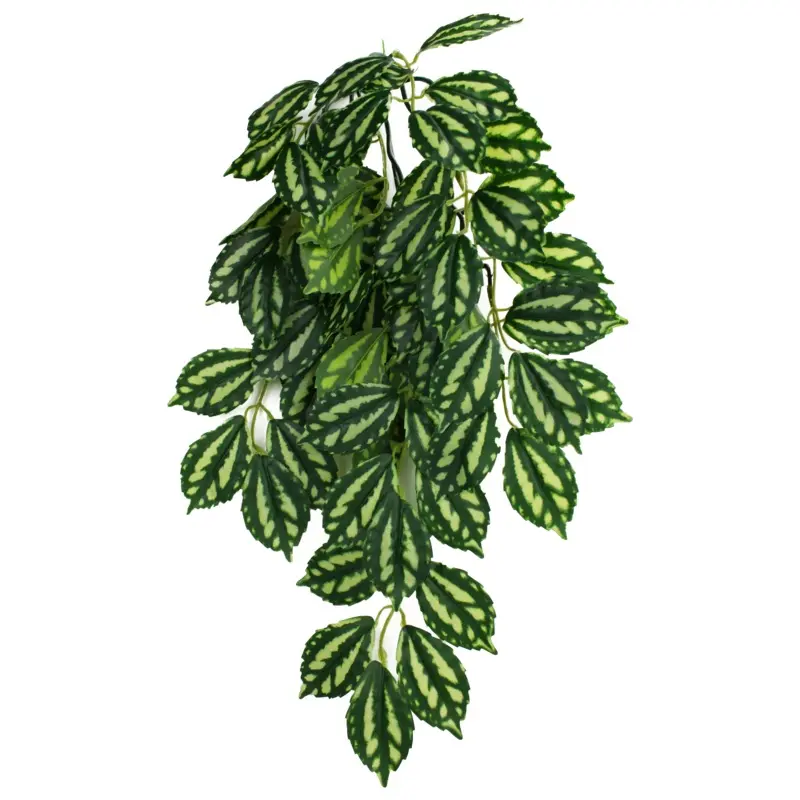 Komodo Two-Toned Leaf Hanging Plant SM 16in