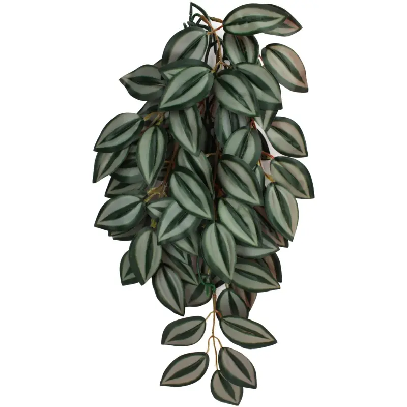 Komodo Zebrina Hanging Plant SM 16in