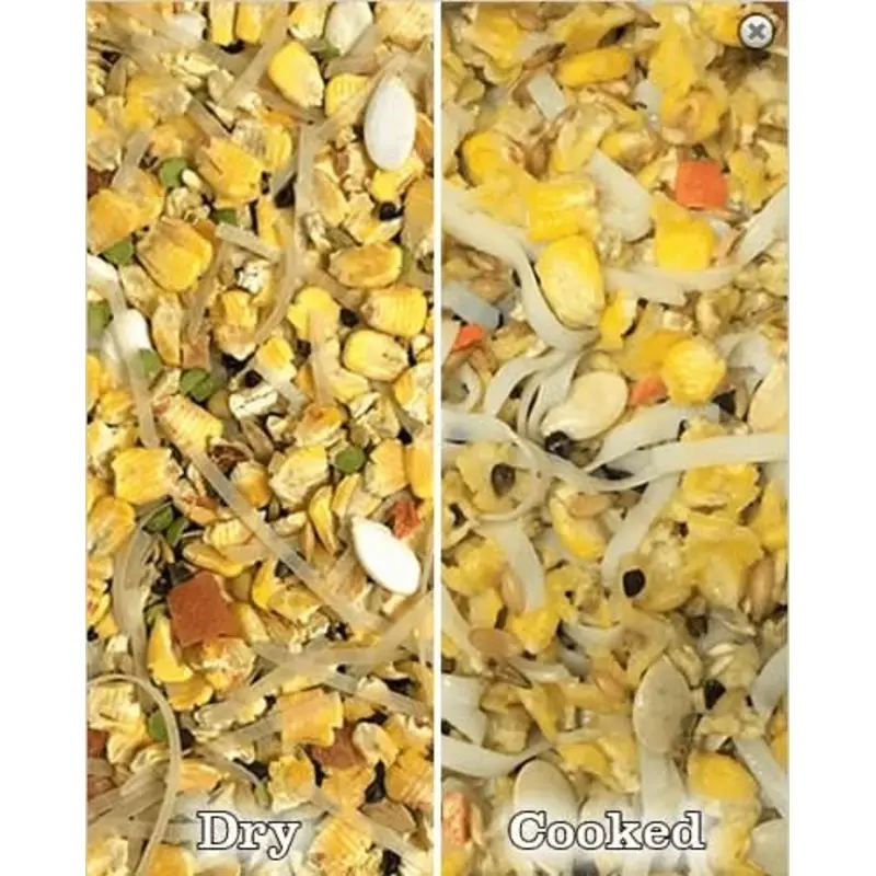 A&E Cage Company Crazy for Corn Yum Fu Delight 1lb