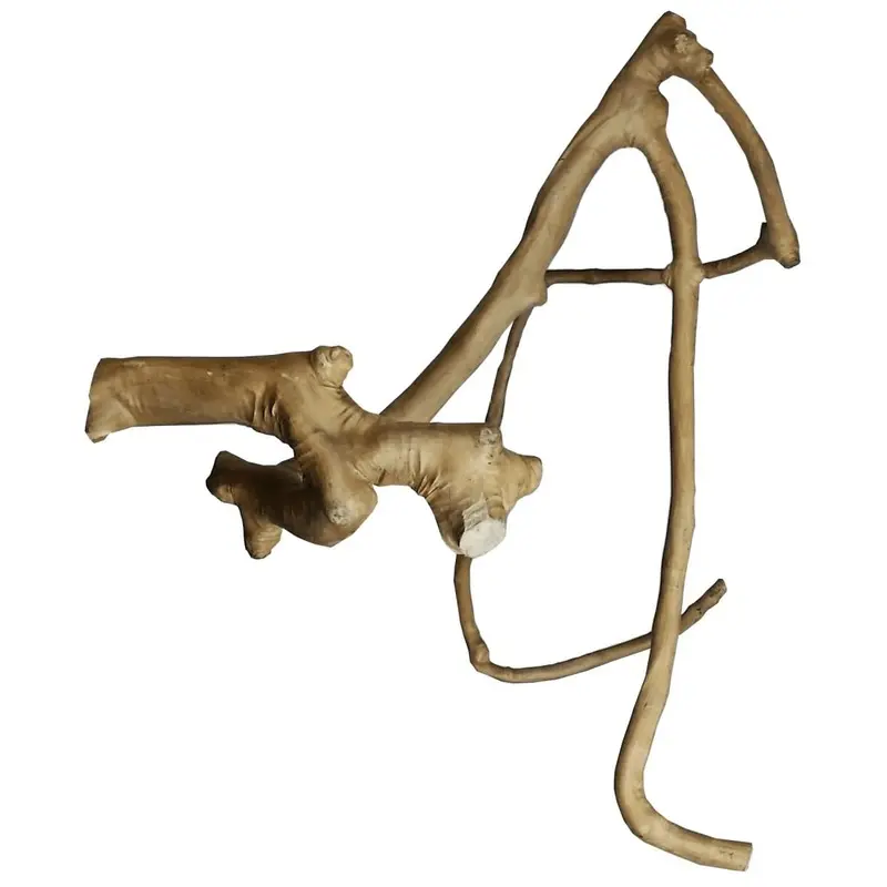 A&E Cage Company Large Java Wood Multi Branch Perch. 26x2.4