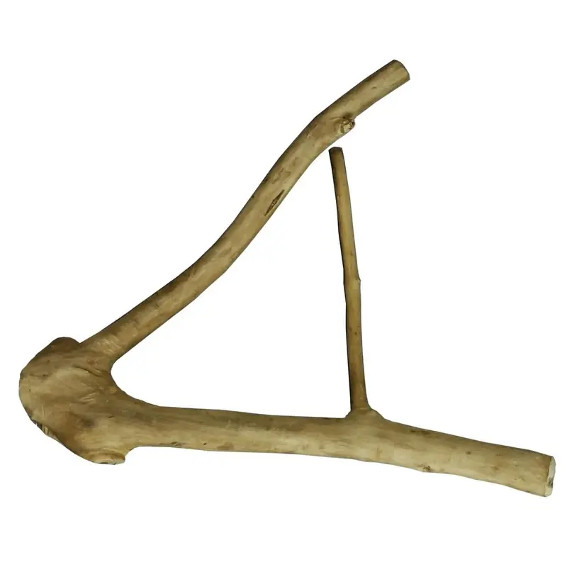 A&E Cage Company Small Java Wood Multi Branch Perch 16" x 1.2"
